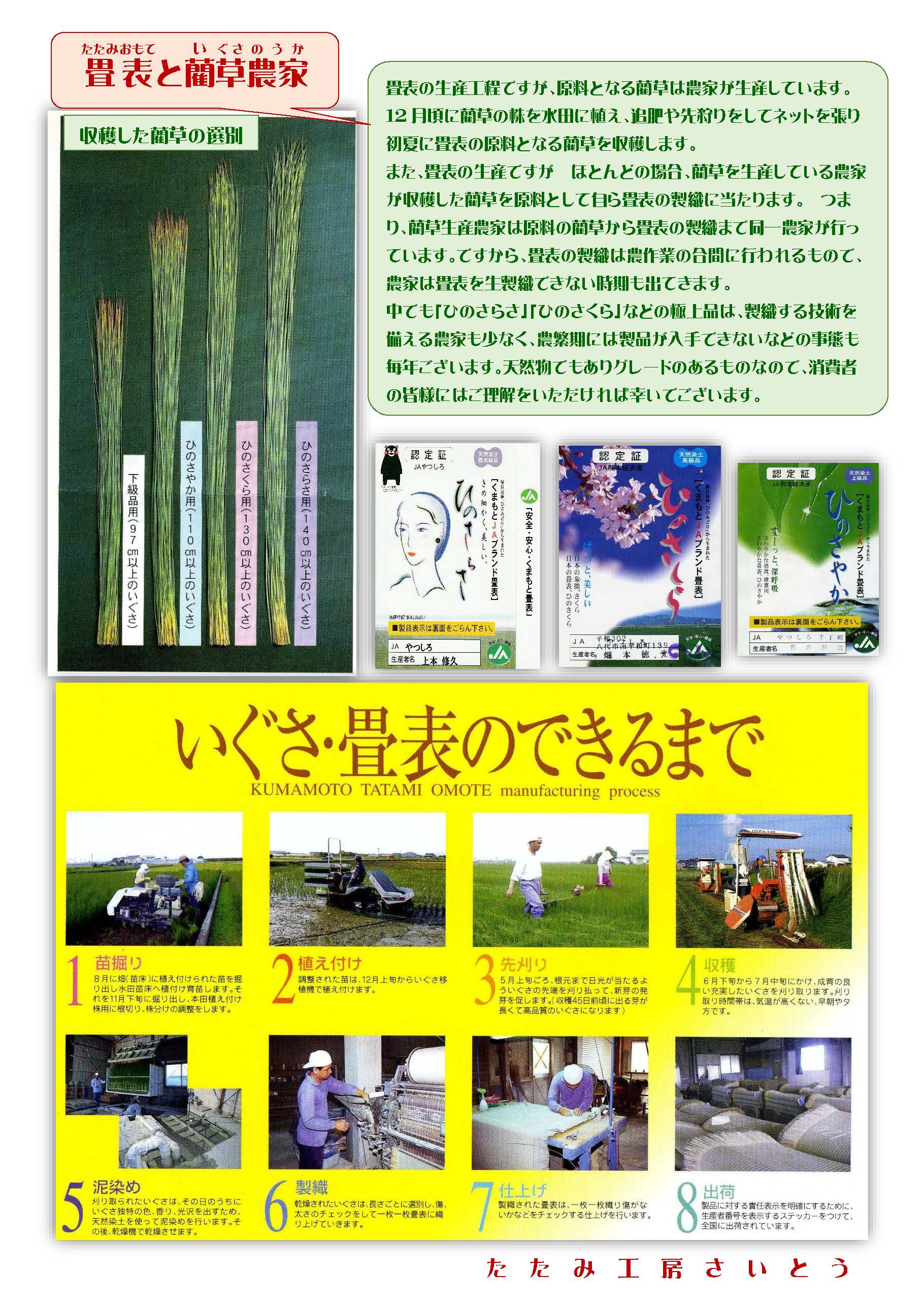 畳表と藺草農家
