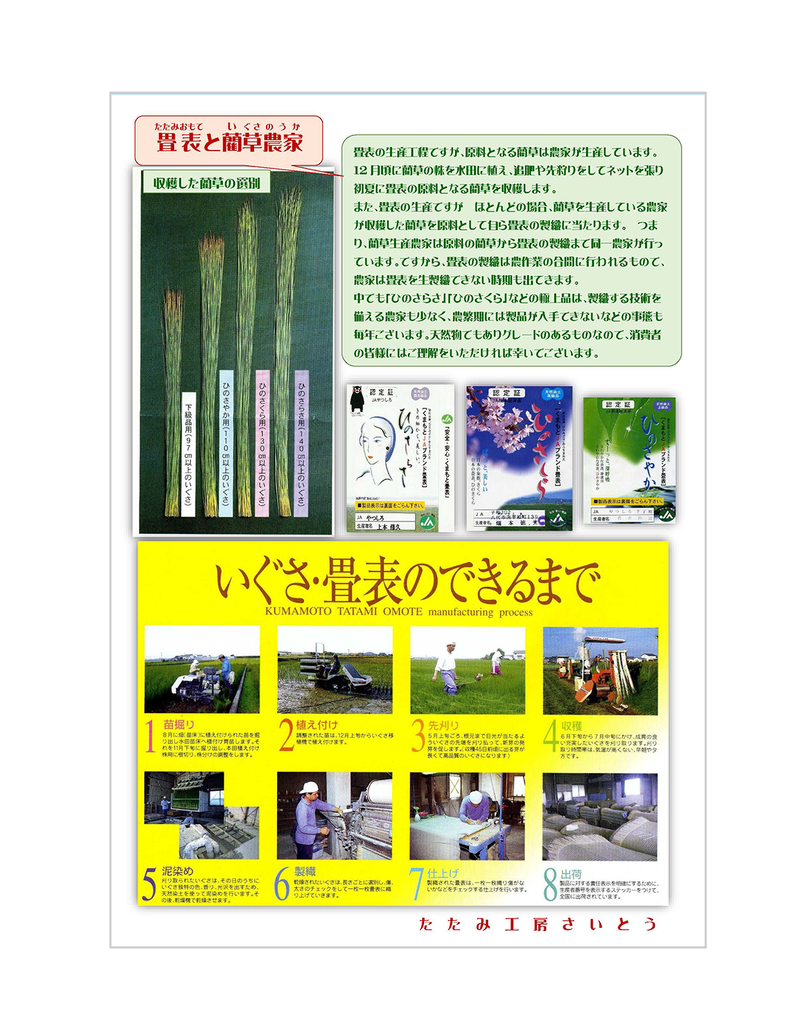 畳表と藺草農家